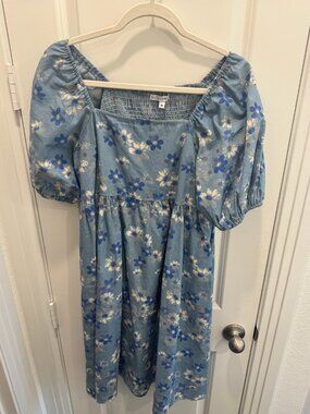 Baltic Born Denim Dress